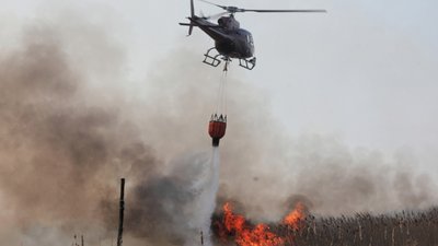У Польщі четверту добу горить найбільший національний парк країни