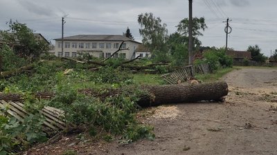 Дерева викорчувало за хвилину: в селі на Волині люди прибирають наслідки буревію та рахують збитки Дерева викорчувало за хвилину: в селі на Волині люди прибирають наслідки буревію та рахують збитки