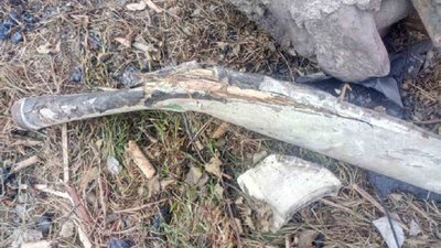 Авіакатастрофа в Коломиї: Національне бюро розслідувань опублікувало попередній звіт Авіакатастрофа в Коломиї: Національне бюро розслідувань опублікувало попередній звіт
