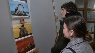 17-річна Яна Корг розглядає світлини 17-річна Яна Корг розглядає світлини