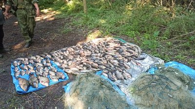 На Херсонщині поліцейські викрили два факти браконьєрства – за ними відкрили кримінальні провадження На Херсонщині поліцейські викрили два факти браконьєрства – за ними відкрили кримінальні провадження