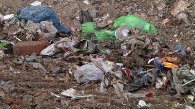 На Житомирщині завершують вивіз львівського сміття, яке незаконно скинули на заводі в Будичанах На Житомирщині завершують вивіз львівського сміття, яке незаконно скинули на заводі в Будичанах