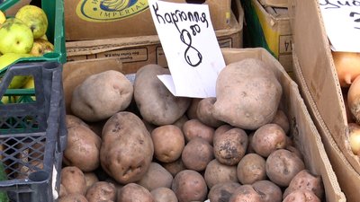 Прожитковий мінімум у 86 гривень на день – житомирянам цього недостатньо Прожитковий мінімум у 86 гривень на день – житомирянам цього недостатньо