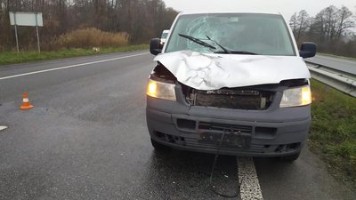 На Житомирщині у ДТП загинув пішохід На Житомирщині у ДТП загинув пішохід