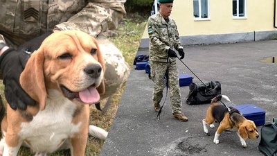 На Львівщині у кінологічному центрі проводять випускні іспити