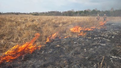 Пожежа в Луцькому районі, пожежа в Ковельському районі, пожежа у Володимирському районі