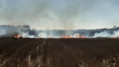 Вигоріло три гектари поля: у селі Количівка, що біля Чернігова, спалахнула пожежа через необережне поводження з вогнем Вигоріло три гектари поля: у селі Количівка, що біля Чернігова, спалахнула пожежа через необережне поводження з вогнем