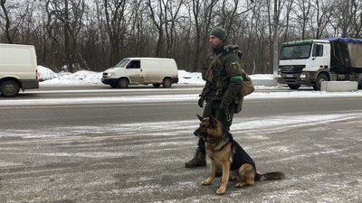 собаки нацгвардія собаки нацгвардія