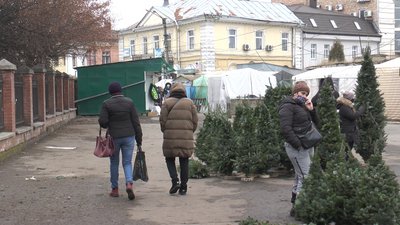 Стало відомо, де на Прикарпатті незаконно вирубують ялинки Стало відомо, де на Прикарпатті незаконно вирубують ялинки