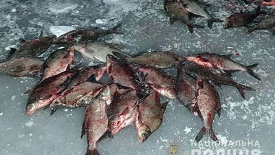 Незаконнив вилов Незаконнив вилов