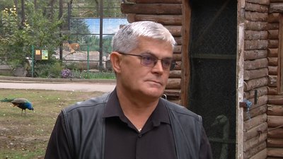 Лебідь Одеса Лебідь Одеса