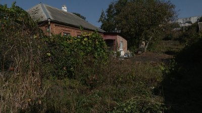 Хмельничани можуть безкоштовно здати сухе гілля: як і де