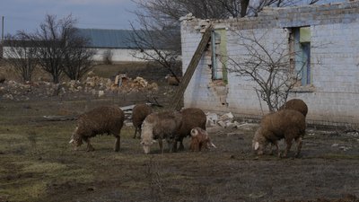 Щоденники забутих сіл: Новоматвіївське Щоденники забутих сіл: Новоматвіївське