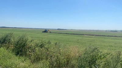 Працюють у збиток: на Дніпропетровщині фермери завершують збирати врожай зернових