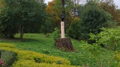 У саду на Тернопільщині встановили скульптуру ворона й висадили квітучі дерева У саду на Тернопільщині встановили скульптуру ворона й висадили квітучі дерева