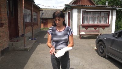 На Хмельниччині мавпа покусала дитину: тварину досі не спіймали