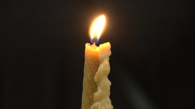 Втрати Волині