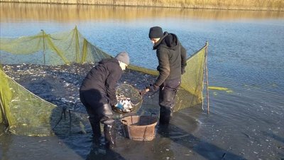 На Херсонщині відбулось зариблення Каховського водосховища