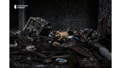 Місто, в якому живуть. Репортаж з Харкова на війні