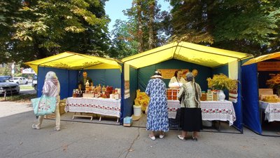 Бджолярі Полтавщини зібрали на 25% менше меду Бджолярі Полтавщини зібрали на 25% менше меду