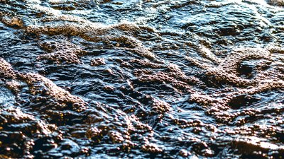 Перевищення норм у 200 разів. У Галичі на Франківщині вода в річці Дністер забруднена нафтопродуктами