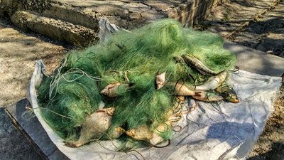 У Світловодському районі на Кіровоградщині затримали рибалок-браконьєрів