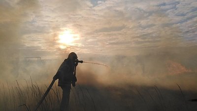Пожежі на Одещині: за добу вогонь знищив понад 18 гектарів сухої трави