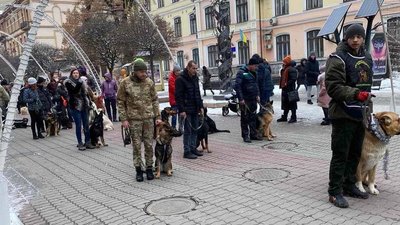 В Івано-Франківську відбувся перший різдвяний парад собак В Івано-Франківську відбувся перший різдвяний парад собак