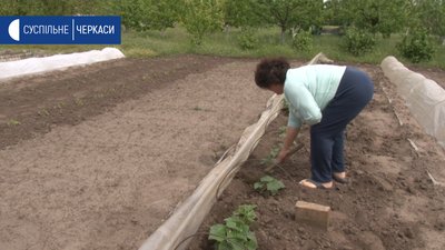 Жителям Сагунівської громади немає чим доїхати до міста Жителям Сагунівської громади немає чим доїхати до міста