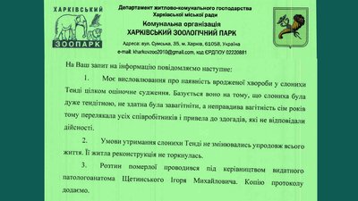 Смерть слонихи Тенді у Харкові: стало відомо, що у висновку розтину Смерть слонихи Тенді у Харкові: стало відомо, що у висновку розтину