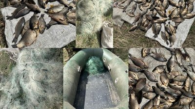 незаконний вилов риби, браконьєрство