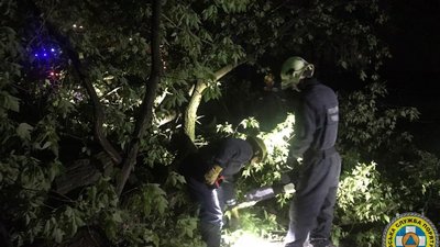 Наслідки негоди у Києві: рятувальники протягом ночі 8 разів виїжджали на виклики, липу Петра обстежать