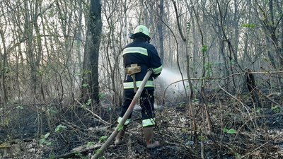 Минулої доби рятувальники Черкащини гасили 6 пожеж сухої рослинності Минулої доби рятувальники Черкащини гасили 6 пожеж сухої рослинності