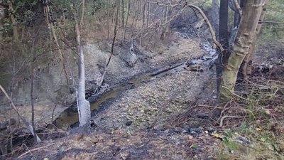 Поблизу села Стримба на Івано-Франківщині вибухнув нафтопровід. Травмувалися люди Поблизу села Стримба на Івано-Франківщині вибухнув нафтопровід. Травмувалися люди