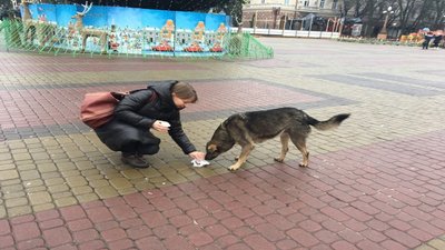 "Екомарафон 2.0" розпочався в Тернополі: у перший день учасники акції годують безпритульних тварин