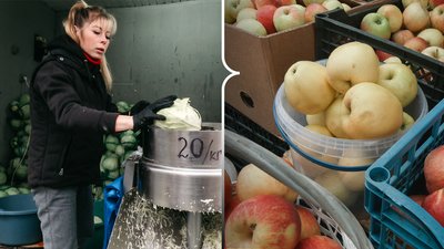 Скільки коштують сезонні овочі та фрукти на ринку в Рівному