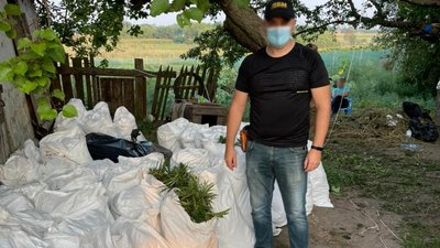 На Дніпропетровщині виявили плантацію конопель вартістю понад 3 млн грн На Дніпропетровщині виявили плантацію конопель вартістю понад 3 млн грн