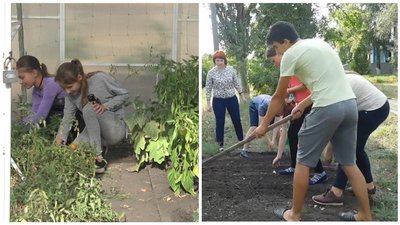 Школярі започаткували агрохаб у селі на Донеччині