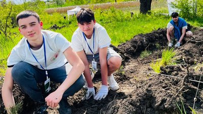 Школярі садять дерева Школярі садять дерева