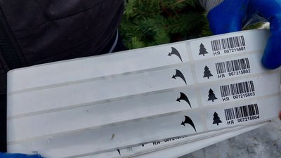 На Сумщині перевірили законність продажу ялинок На Сумщині перевірили законність продажу ялинок