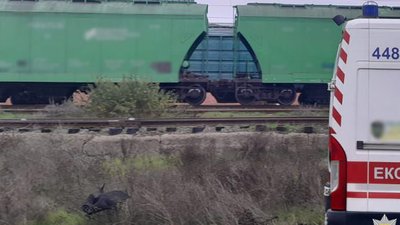 Ударило струмом на залізниці Великодолинське