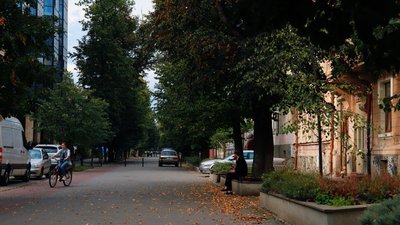 Івано-Франківщина, 28 жовтня, погода, довкілля