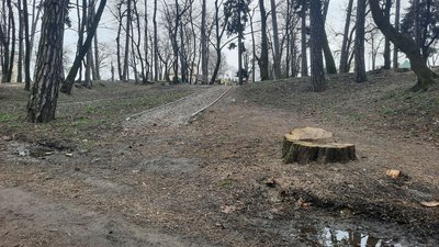 Реконструкція Личаківського парку Реконструкція Личаківського парку