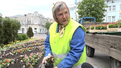 У Житомирі планують висадити 90 тисяч однорічних рослин У Житомирі планують висадити 90 тисяч однорічних рослин