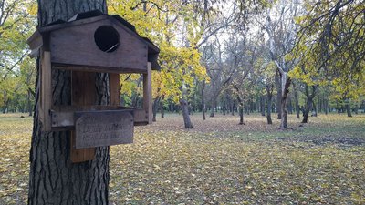 Осінній Кропивницький