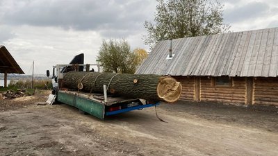 На рівненську "Оствицю" привезли колоду для довбанки
