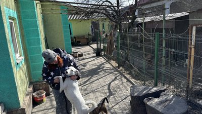 тварини притулок "Пес мокрий ніс" собаки їжа гроші допомога волонтери Добропілля Донецька область тварини притулок "Пес мокрий ніс" собаки їжа гроші допомога волонтери Добропілля Донецька область