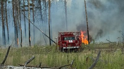 Рятувальники гасять лісову пожежу
