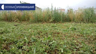 У селищі Нове 2020 року на покіс трави виділили 15 тисяч гривень з місцевого бюджету У селищі Нове 2020 року на покіс трави виділили 15 тисяч гривень з місцевого бюджету