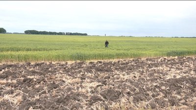 На Черкащині ґрунтова засуха На Черкащині ґрунтова засуха